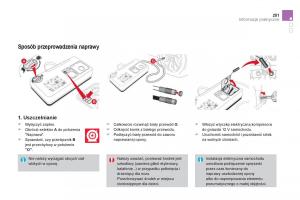 Citroen-DS4-instrukcja-obslugi page 253 min