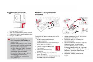 Citroen-DS4-instrukcja-obslugi page 256 min