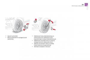 Citroen-DS4-instrukcja-obslugi page 263 min