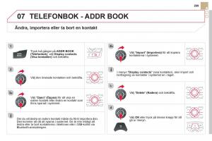 Citroen-DS5-instruktionsbok page 301 min