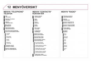 Citroen-DS5-instruktionsbok page 316 min