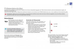 Citroen-DS5-Handbuch page 243 min