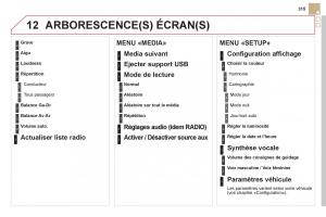 Citroen-DS5-manuel-du-proprietaire page 317 min