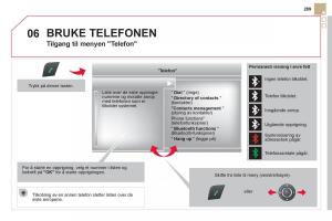 Citroen-DS5-bruksanvisningen page 291 min