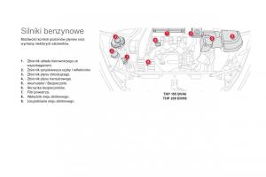 Citroen-DS5-instrukcja-obslugi page 240 min