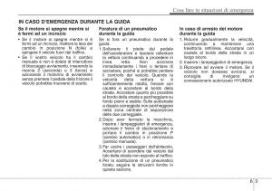 Hyundai-ix20-manuale-del-proprietario page 315 min