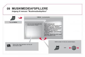 Citroen-DS5-Bilens-instruktionsbog page 306 min