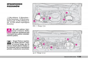 fiat-Doblo-I-1-instrukcja-obslugi page 137 min