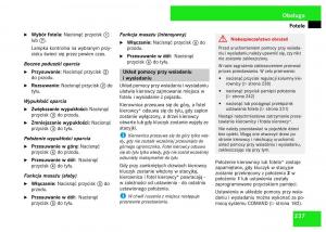 Mercedes-Benz-S-Class-W221-instrukcja-obslugi page 239 min