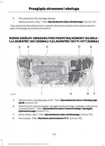 Ford-B-Max-instrukcja-obslugi page 175 min