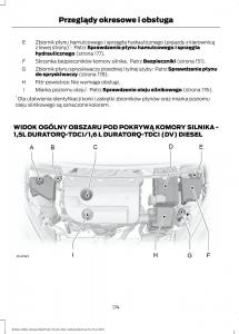 Ford-B-Max-instrukcja-obslugi page 176 min