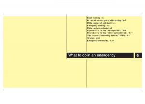 Hyundai-Veloster-I-1-owners-manual page 251 min