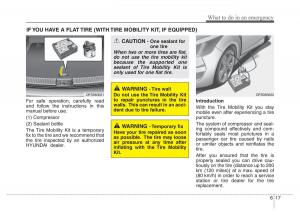 Hyundai-Veloster-I-1-owners-manual page 267 min