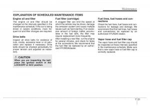 Hyundai-Veloster-I-1-owners-manual page 314 min