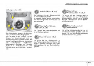 Hyundai-Santa-Fe-III-3-Handbuch page 266 min