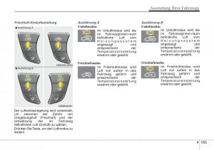 Hyundai-Santa-Fe-III-3-Handbuch page 268 min