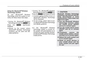 Hyundai-Santa-Fe-III-3-owners-manual page 318 min