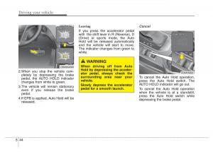 Hyundai-Santa-Fe-III-3-owners-manual page 493 min