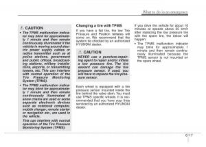 Hyundai-Santa-Fe-III-3-owners-manual page 562 min