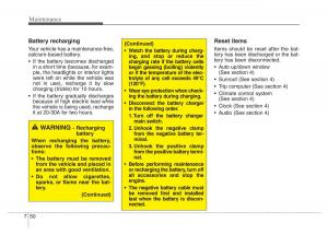 Hyundai-Santa-Fe-III-3-owners-manual page 631 min