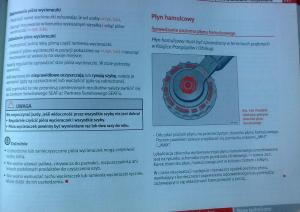 Seat-Leon-II-2-instrukcja-obslugi page 214 min