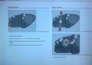 Seat-Leon-II-2-instrukcja-obslugi page 243 min