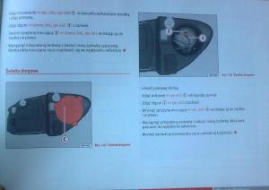 Seat-Leon-II-2-instrukcja-obslugi page 244 min