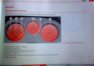 Seat-Leon-II-2-instrukcja-obslugi page 53 min