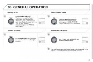 Peugeot-4008-owners-manual page 317 min