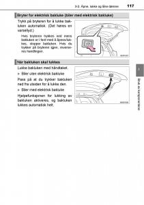 Toyota-RAV4-IV-4-bruksanvisningen page 119 min