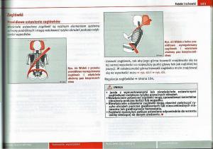 Seat-Ibiza-IV-4-instrukcja-obslugi page 103 min