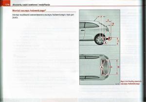 Seat-Ibiza-IV-4-instrukcja-obslugi page 173 min