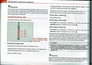 Seat-Ibiza-IV-4-instrukcja-obslugi page 183 min