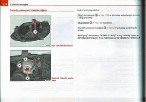 Seat-Ibiza-IV-4-instrukcja-obslugi page 217 min