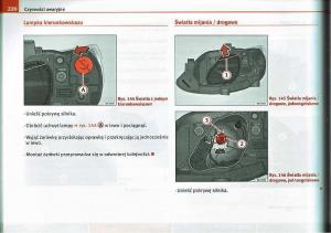 Seat-Ibiza-IV-4-instrukcja-obslugi page 219 min