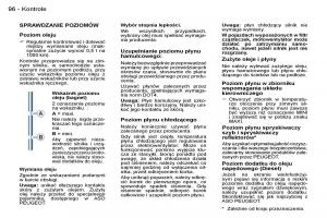 Peugeot-206-CC-instrukcja-obslugi page 95 min