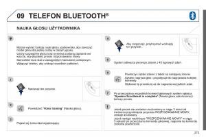 Peugeot-4008-instrukcja-obslugi page 275 min