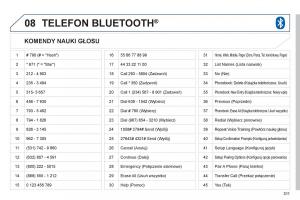 Peugeot-4008-instrukcja-obslugi page 313 min