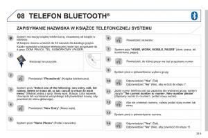 Peugeot-4008-instrukcja-obslugi page 317 min