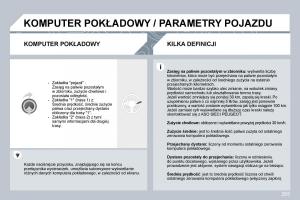 Peugeot-3008-instrukcja-obslugi page 255 min