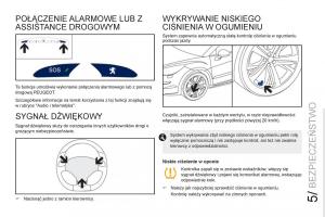 Peugeot-RCZ-instrukcja-obslugi page 105 min