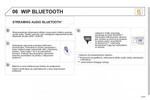 Peugeot-RCZ-instrukcja-obslugi page 317 min