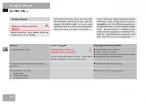 Mercedes-Sprinter-II-2-instrukcja-obslugi page 258 min