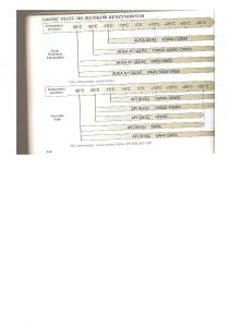 Renault-Clio-II-PHI-instrukcja-obslugi page 113 min