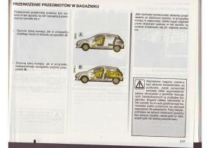 Renault-Clio-III-PHI-instrukcja-obslugi page 162 min