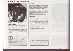 Renault-Clio-III-PHI-instrukcja-obslugi page 175 min