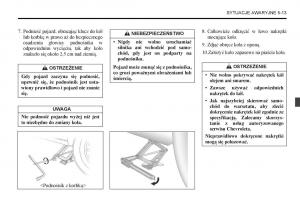 Chevrolet-Captiva-instrukcja-obslugi page 227 min