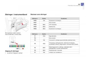 Citroen-DS3-Bilens-instruktionsbog page 227 min