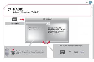 Citroen-DS3-Bilens-instruktionsbog page 315 min