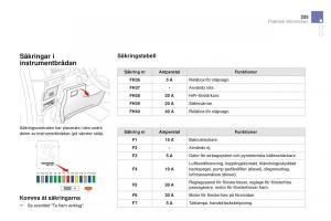 Citroen-DS3-instruktionsbok page 227 min